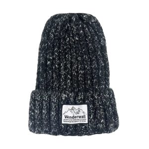 Wonderwall Beanie-black
